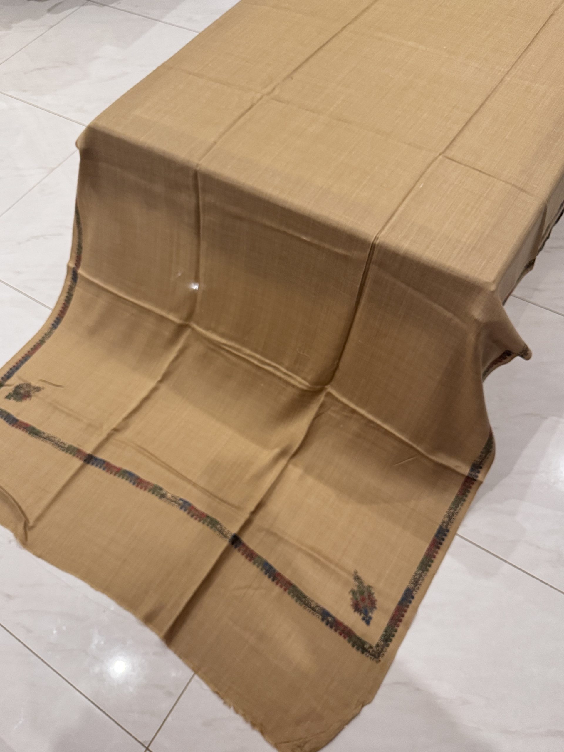 Haleema – Beige Pashmina Shawl with Traditional Kingri-Style Border (2.5 Yards) - Image 3