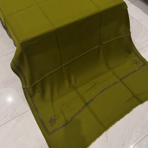 Haniya – Parrot Green Pashmina Shawl with Traditional Kingri-Style Border (2.5 Yards)